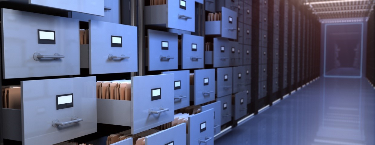 Eliminate Document Chaos with a Document Management Solution